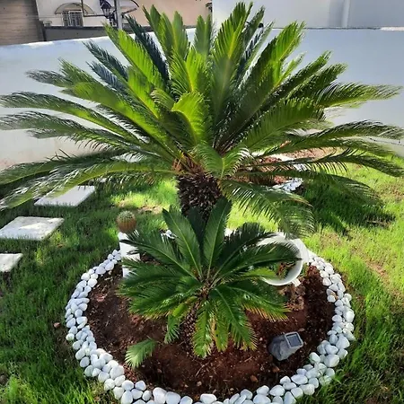 Tatil Evi Incanto Pina -